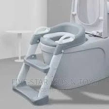 Toilet ladder